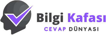 Bilgi Kafasi